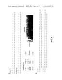 DIFFERENTIAL AMPLIFICATION OF MUTANT NUCLEIC ACIDS BY PCR IN A MIXTURE OF NUCLEIC ACIDS diagram and image