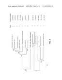 Novel Human Virus Causing Severe Acute Respiratory Syndrome (SARS) and Uses Thereof diagram and image