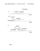 METHODS FOR DETECTING NUCLEIC ACID SEQUENCES diagram and image