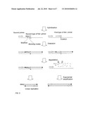 METHODS FOR DETECTING NUCLEIC ACID SEQUENCES diagram and image