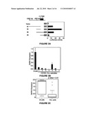 DEATH ASSOCIATED PROTEIN KINASE 1 (DAPK1) AND USES THEREOF FOR THE TREATMENT OF CHRONIC LYMPOCYTIC LEUKEMIA diagram and image