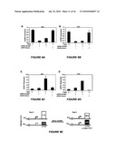 DEATH ASSOCIATED PROTEIN KINASE 1 (DAPK1) AND USES THEREOF FOR THE TREATMENT OF CHRONIC LYMPOCYTIC LEUKEMIA diagram and image