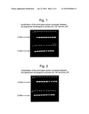 METHOD FOR THE IDENTIFICATION OF PROPANE-OXIDIZING BACTERIA diagram and image