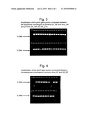 METHOD FOR THE IDENTIFICATION OF PROPANE-OXIDIZING BACTERIA diagram and image