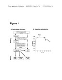 PROGNOSTIC AND PREDICTIVE GENE SIGNATURE FOR NON-SMALL CELL LUNG CANCER AND ADJUVANT CHEMOTHERAPY diagram and image