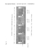 OLIGONUCLEOTIDE SEQUENCES THAT IDENTIFY SPECIES OF ANIMAL diagram and image