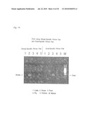 OLIGONUCLEOTIDE SEQUENCES THAT IDENTIFY SPECIES OF ANIMAL diagram and image