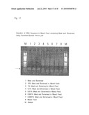 OLIGONUCLEOTIDE SEQUENCES THAT IDENTIFY SPECIES OF ANIMAL diagram and image