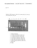 OLIGONUCLEOTIDE SEQUENCES THAT IDENTIFY SPECIES OF ANIMAL diagram and image