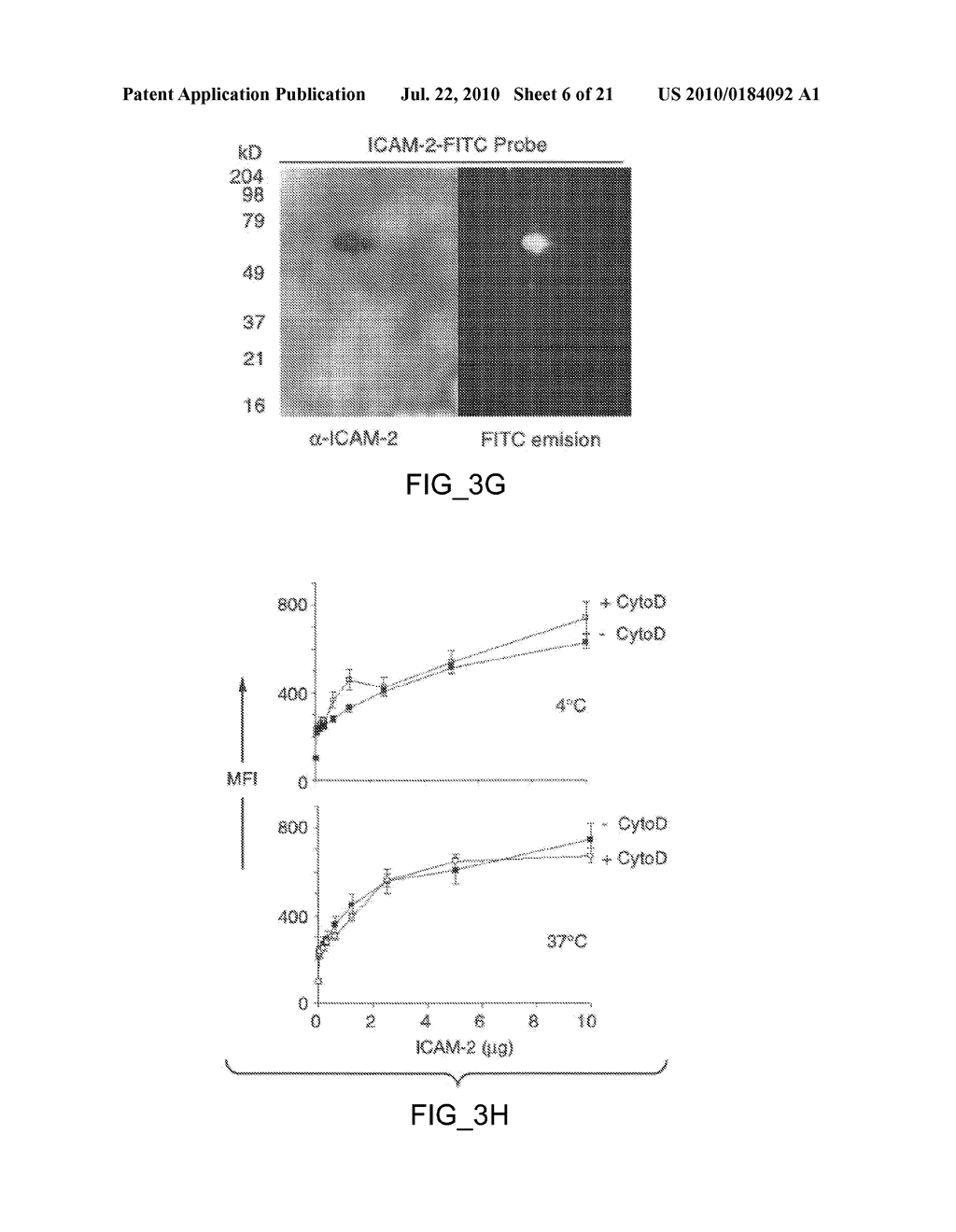 Methods and Compositions for Detecting Receptor-Ligand Interactions in Single Cells - diagram, schematic, and image 07