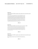 BASB082 polynucleotides diagram and image