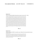 BASB082 polynucleotides diagram and image