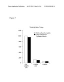 IN VITRO GERMINAL CENTERS diagram and image