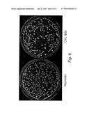 STAPHYLOCOCUS AUREUS STRAIN CYL1892 diagram and image