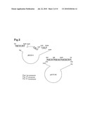 METHOD FOR PRODUCING ALKALOIDS diagram and image