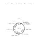 SYSTEM FOR THE PRODUCTION OF AROMATIC MOLECULES IN STREPTOMYCES diagram and image