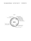 SYSTEM FOR THE PRODUCTION OF AROMATIC MOLECULES IN STREPTOMYCES diagram and image