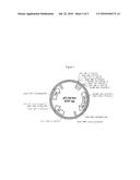 SYSTEM FOR THE PRODUCTION OF AROMATIC MOLECULES IN STREPTOMYCES diagram and image