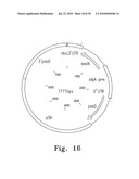 SYSTEM, METHOD, AND DEVICE FOR THE EXPRESSION OR REPRESSION OF PROTEINS diagram and image