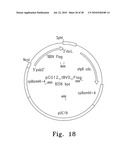 SYSTEM, METHOD, AND DEVICE FOR THE EXPRESSION OR REPRESSION OF PROTEINS diagram and image