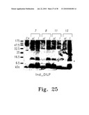 SYSTEM, METHOD, AND DEVICE FOR THE EXPRESSION OR REPRESSION OF PROTEINS diagram and image