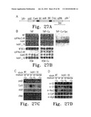 SYSTEM, METHOD, AND DEVICE FOR THE EXPRESSION OR REPRESSION OF PROTEINS diagram and image