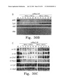 SYSTEM, METHOD, AND DEVICE FOR THE EXPRESSION OR REPRESSION OF PROTEINS diagram and image