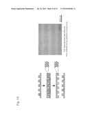 METHOD FOR PREPARING BIOLOGICAL TISSUE diagram and image