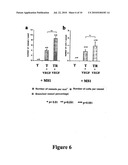 COLLAGEN SCAFFOLD MODIFIED BY COVALENT GRAFTING OF ADHESION MOLECULES, ASSOCIATED METHODS AND USE THEREOF FOR CARDIOVASCULAR AND THORACIC CELL THERAPY AND CONTRACTILE TISSUE ENGINEERING diagram and image