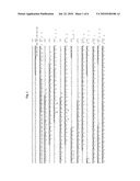 NOVEL RIGIDOPORUS MICROPORUS LACCASE diagram and image