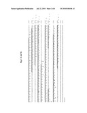 NOVEL RIGIDOPORUS MICROPORUS LACCASE diagram and image