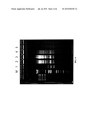 IN VITRO RECOMBINATION METHOD diagram and image