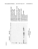 AVIAN INFLUENZA CHIMERIC VLPS diagram and image