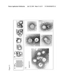 AVIAN INFLUENZA CHIMERIC VLPS diagram and image