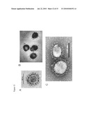 AVIAN INFLUENZA CHIMERIC VLPS diagram and image