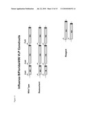 AVIAN INFLUENZA CHIMERIC VLPS diagram and image