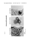 AVIAN INFLUENZA CHIMERIC VLPS diagram and image