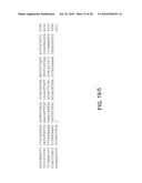 OVEREXPRESSION OF AMINOACYL-tRNA SYNTHETASES FOR EFFICIENT PRODUCTION OF ENGINEERED PROTEINS CONTAINING AMINO ACID ANALOGUES diagram and image