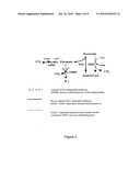 Recycling System for Manipulation of Intracellular NADH Availability diagram and image