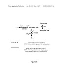 Recycling System for Manipulation of Intracellular NADH Availability diagram and image