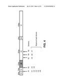 TARGETING PSEUDOTYPED RETROVIRAL VECTORS diagram and image