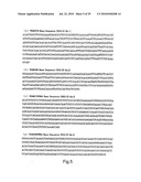 hTERT GENE EXPRESSION REGULATORY GENE diagram and image