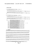 hTERT GENE EXPRESSION REGULATORY GENE diagram and image