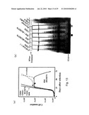 hTERT GENE EXPRESSION REGULATORY GENE diagram and image