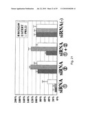 hTERT GENE EXPRESSION REGULATORY GENE diagram and image