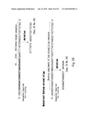 hTERT GENE EXPRESSION REGULATORY GENE diagram and image