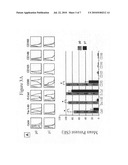 HUMAN EMBRYONIC STEM CELL DERIVED MESODERM-LIKE EPITHELIUM TRANSITIONS TO MESENCHYMAL PROGENITOR CELLS diagram and image