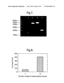 APOCRINE CELL LINE diagram and image