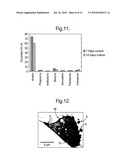 APOCRINE CELL LINE diagram and image