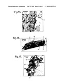 APOCRINE CELL LINE diagram and image